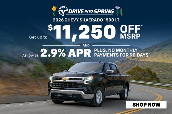 Drive Into Spring Savings